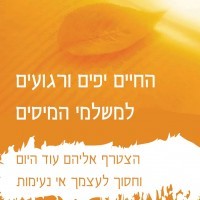 shlomo-ovitz