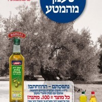 taaman-olive מסורת טעמן מהמטע - תוצאות אפקטיביות