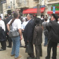 zisalek zisalek