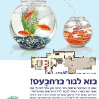 yearim yearim