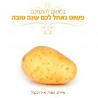 happy_new_year_5771 מנדי פרומר