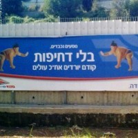 rakebet רכבת ישראל מציגה: "כך נחנך את הנוסעים שלנו"