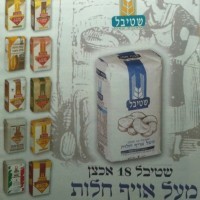 shtible