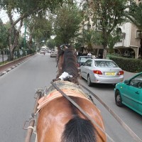 בעיר הזאת אין חניה, אוף, אני מאחר לפגישה