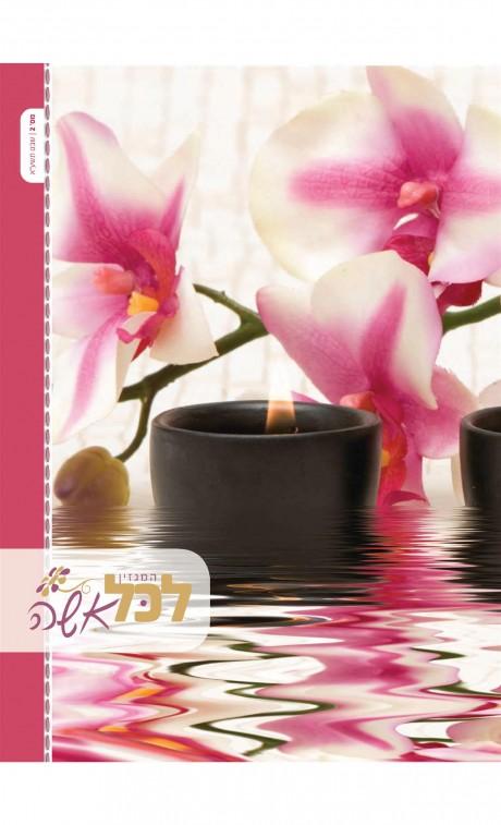 laisha סטארט-אפ חדש? מגזין 'לכל אשה' 1