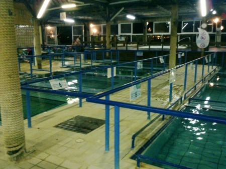 פאשקעוויל פותח את השבוע בחמי יואב 15